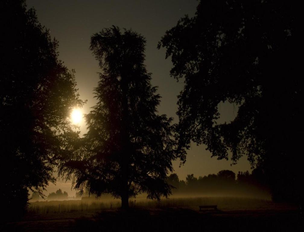 Chateau De Villars Villeneuve-sur-Allier Bagian luar foto