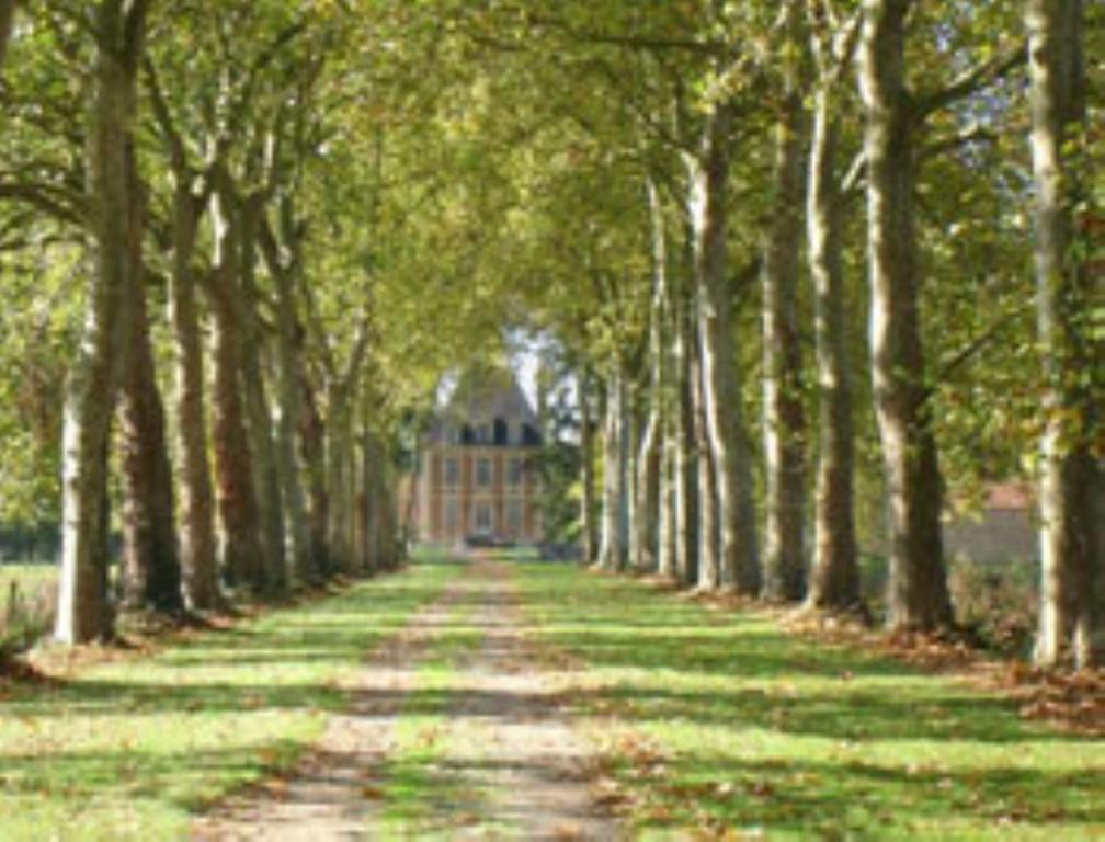Chateau De Villars Villeneuve-sur-Allier Bagian luar foto