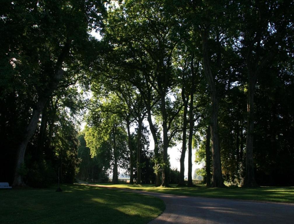 Chateau De Villars Villeneuve-sur-Allier Bagian luar foto