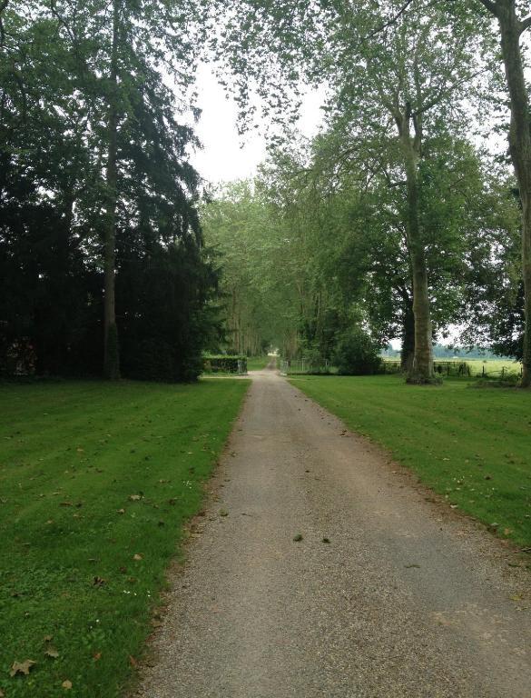 Chateau De Villars Villeneuve-sur-Allier Bagian luar foto